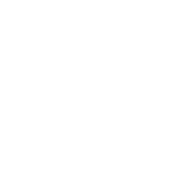 St. Patrick High School Logo Icon